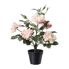 ІКЕА FEJKA ФЕЙКА, 905.327.73 Штучна рослина в горщику, для вулиці, Троянда рожевий, 12 см