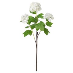 ІКЕА SMYCKAсмЮККА, 404.097.42 - Штучна квітка, сніжний ком, 60см