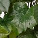 ІКЕА FEJKA ФЕЙКА, 004.933.42 - Штучна рослина в горщику, на відкритому повітрі японська виноградна лоза, 15см