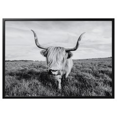 ІКЕА BJORKSTA БЬЙОРКСТА, 495.089.12 Картина з рамкою, цікава корова, 140х100 см