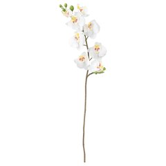 ІКЕА SMYCKAсмЮККА, 803.335.85 - Штучна квітка, Орхідея, 60см